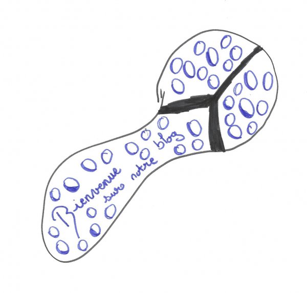  Soci�t� - Education, Ecoles - 